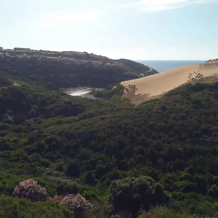 Mare, Dune, E Bosco In Assoluto Relax.
