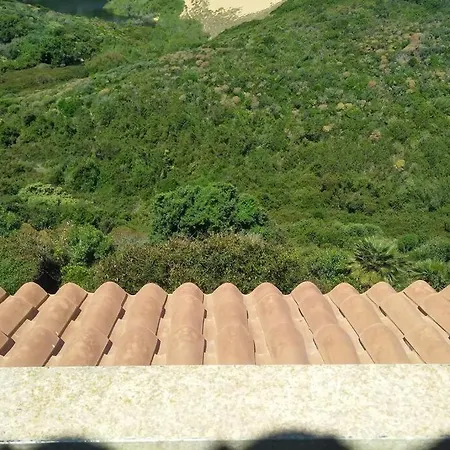 Mare, Dune, E Bosco In Assoluto Relax.