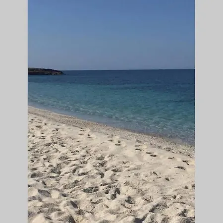 Mare, Dune, E Bosco In Assoluto Relax. Semesterbostad Torre dei Corsari