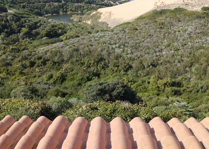 Mare, Dune, E Bosco In Assoluto Relax. Ferienhaus *